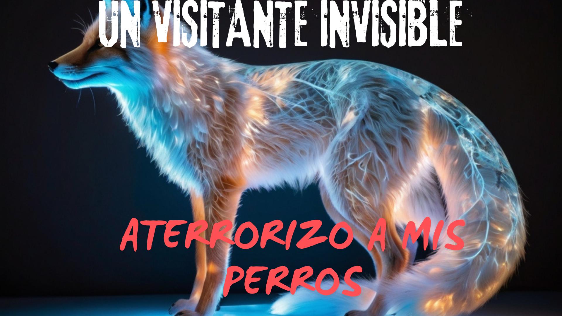 Un visitante invisible aterrorizó a mis perros, historia paranormal
